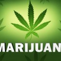A record year for marijuana sales in Colorado