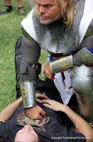 Ren Fest Arrest July 2015