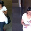 Authorities search for credit card thief