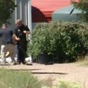 VIDEO: Marijuana plants, cash and guns seized in raids in Fremont and Custer Counties
