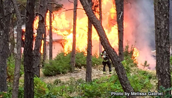 TrailerBlackForestFire654