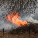 Multiple grass fires break out around the region