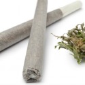 New state pot report reveals use not up among kids