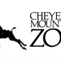 Medical staff and Cheyenne Mountain Zoo are currently treating the baby giraffe born nine days ago