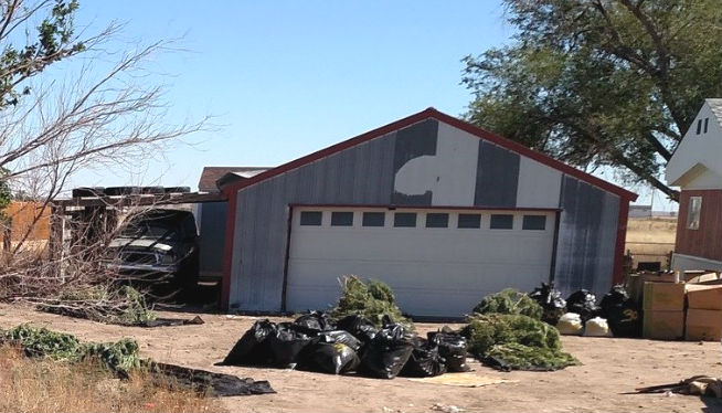Agents remove plants from a home in Boone, Colorado (Photo: KOAA News 5)