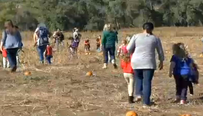 (Photo: KOAA News 5)